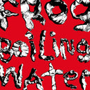 Diiv - Frog In Boiling Water (New Vinyl)