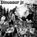 Dinosaur Jr. - Dinosaur (New CD)