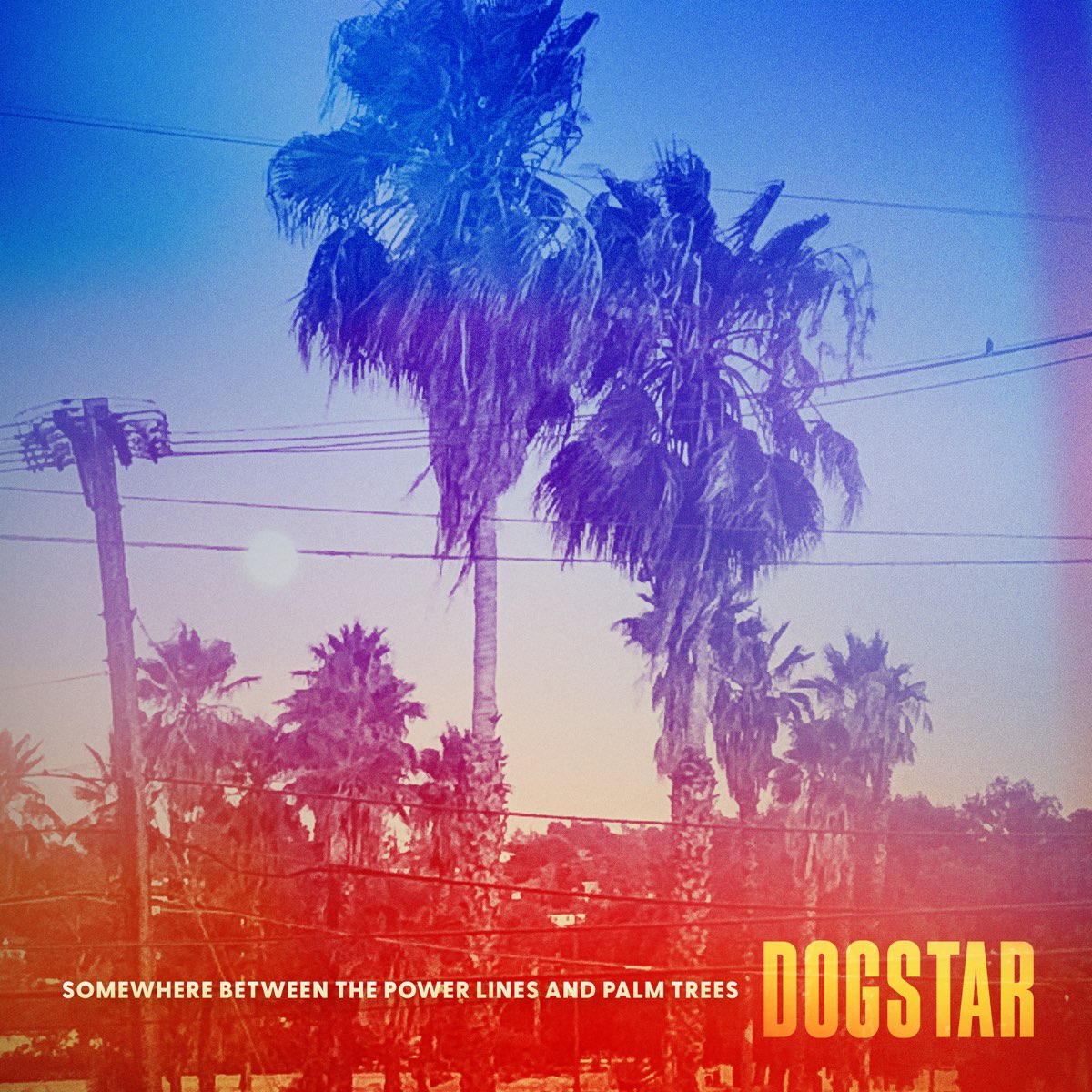 Dogstar - Somewhere Between the Power Lines and Palm Trees (Green Vinyl) (New Vinyl)