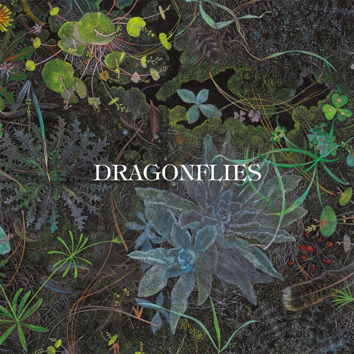 Dragonflies - Dragonflies (New CD)