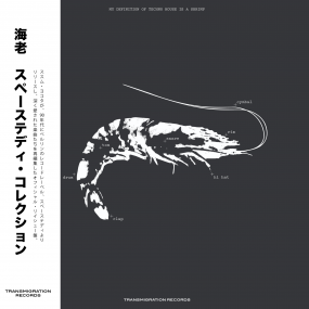 Ebi (Susumu Yokota) - Space Teddy Collection (2LP) (New Vinyl)
