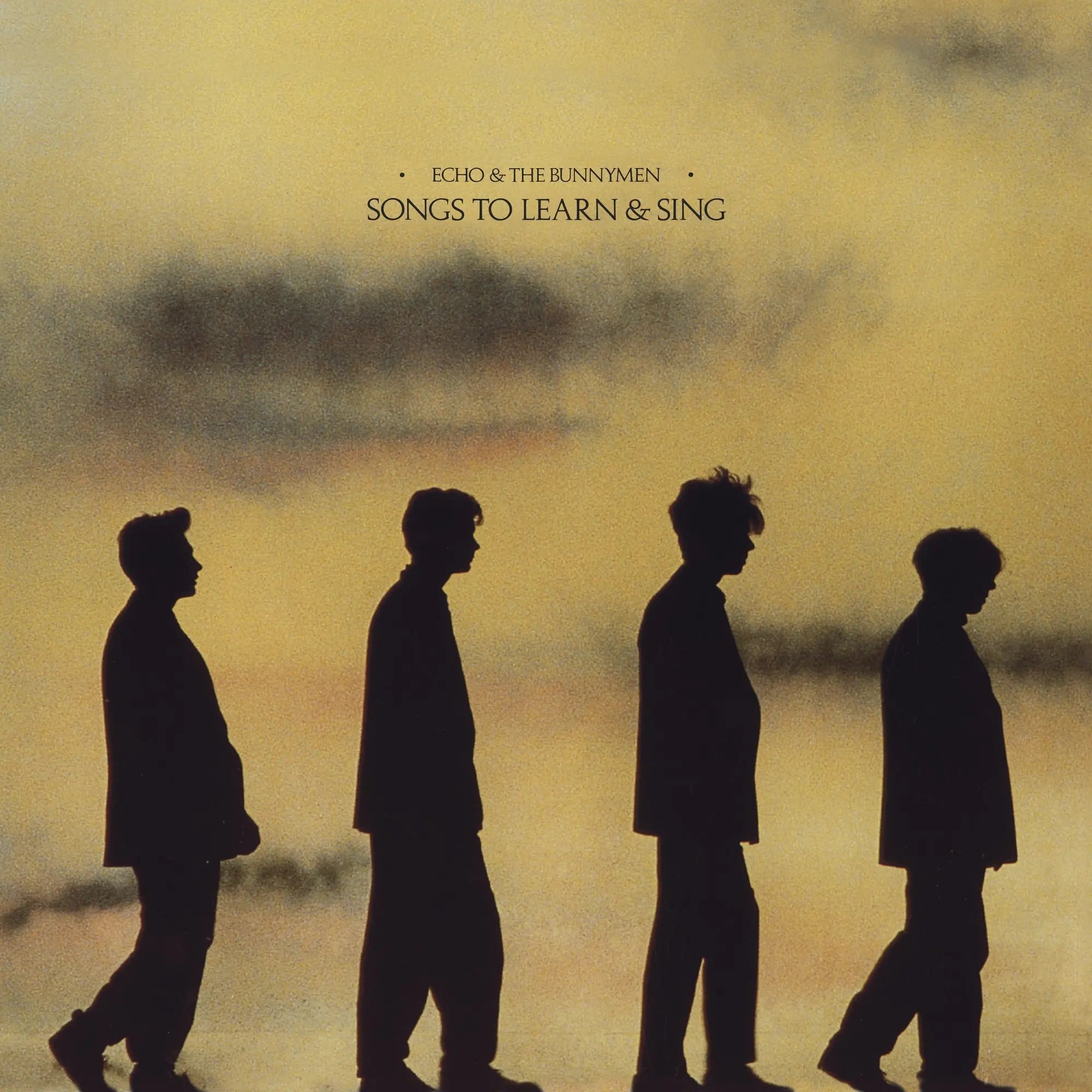 Echo & The Bunnymen - Songs To Learn & Sing (Black/Yellow Vinyl) (New Vinyl)