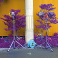 Eiko Ishibashi, Darin Gray - Ichida (New Vinyl)