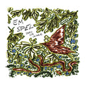 Em Spel - Bird Or Snake (New Vinyl)