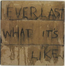 Everlast - What It's Like 7" (New Vinyl)