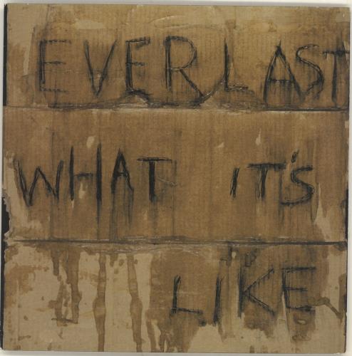 Everlast - What It's Like 7" (New Vinyl)