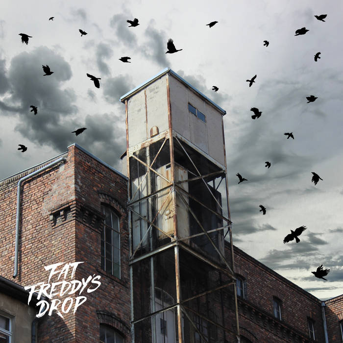 Fat Freddys Drop - Blackbird Returns (New Vinyl)