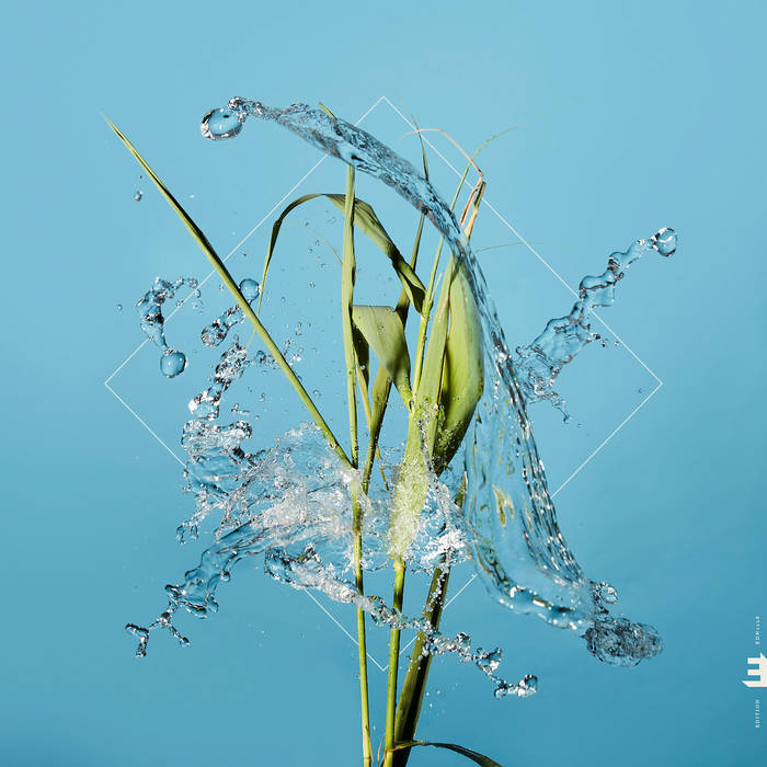 Fergus McCreadie - Stream (Clear Vinyl) (New Vinyl)