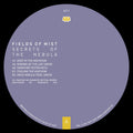 Fields Of Mist - Secret Of The Nebula (12") (New Vinyl)