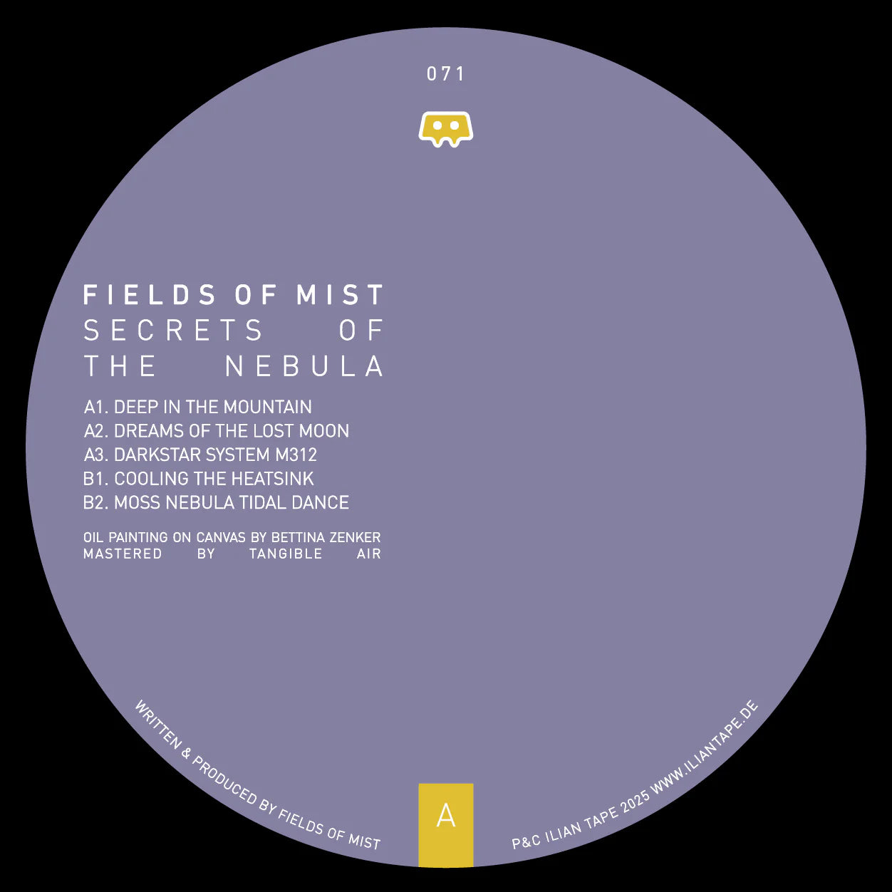 Fields Of Mist - Secret Of The Nebula (12") (New Vinyl)