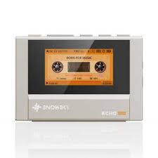 FiiO Snowsky Echo Mini - Titanium GOLD