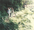 Fishmans - Long Season (SHM CD) (New CD)