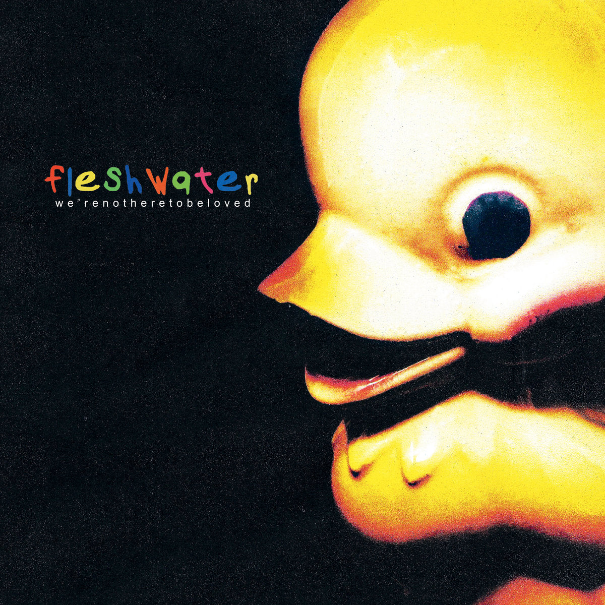 Fleshwater - We're Not Here To Be Loved (New Vinyl)