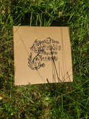 Flowersfightforsunshine / Badtz Maru - Split With Badtzmaru (7") (New Vinyl)