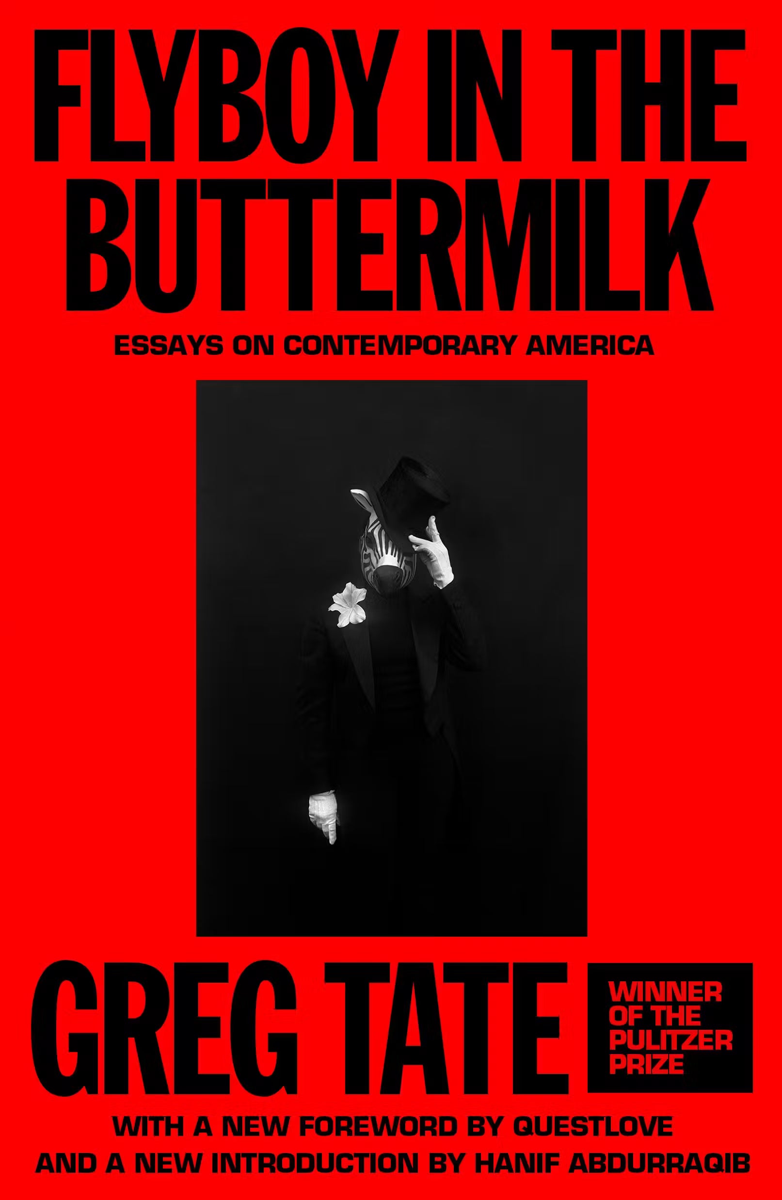 Flyboy In The Buttermilk (New Book)