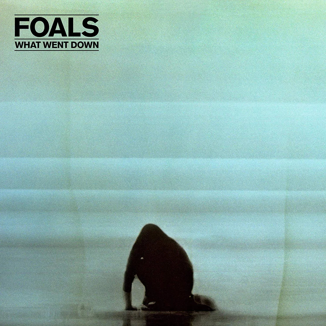 Foals - What Went Down (Blue Vinyl) (New Vinyl)