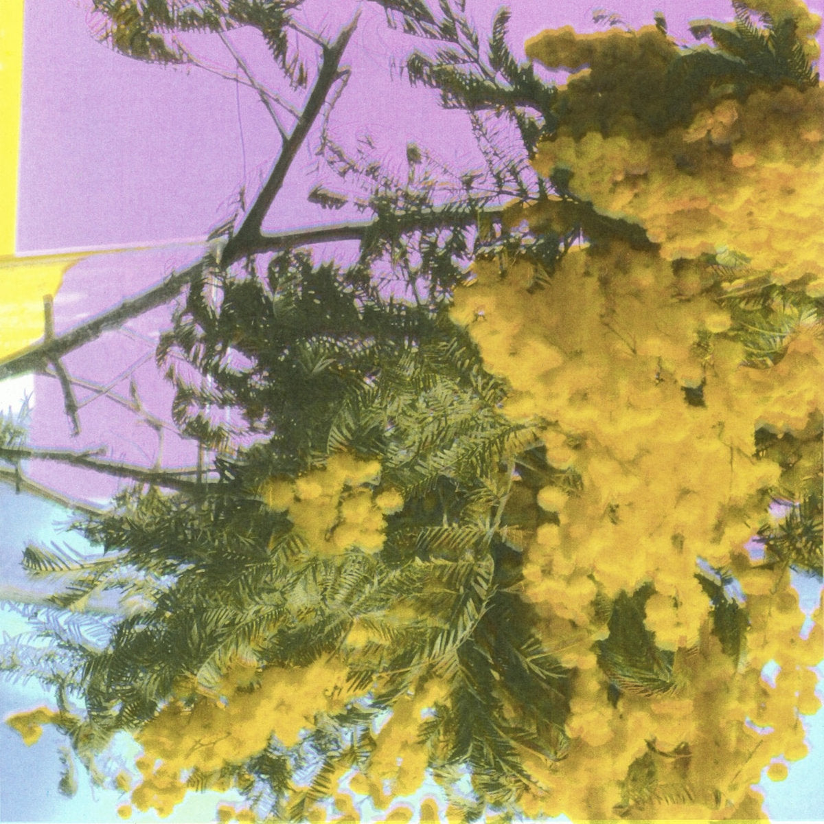 Four Tet - Into Dust (Still Falling) (12") (New Vinyl)