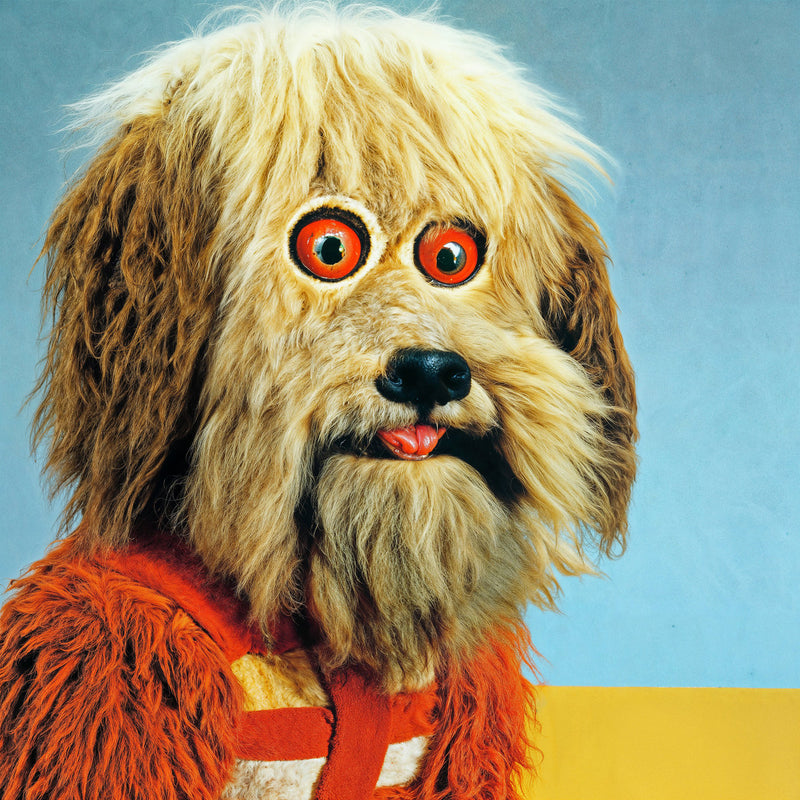 Four Year Strong - Analysis Paralysis (New CD)