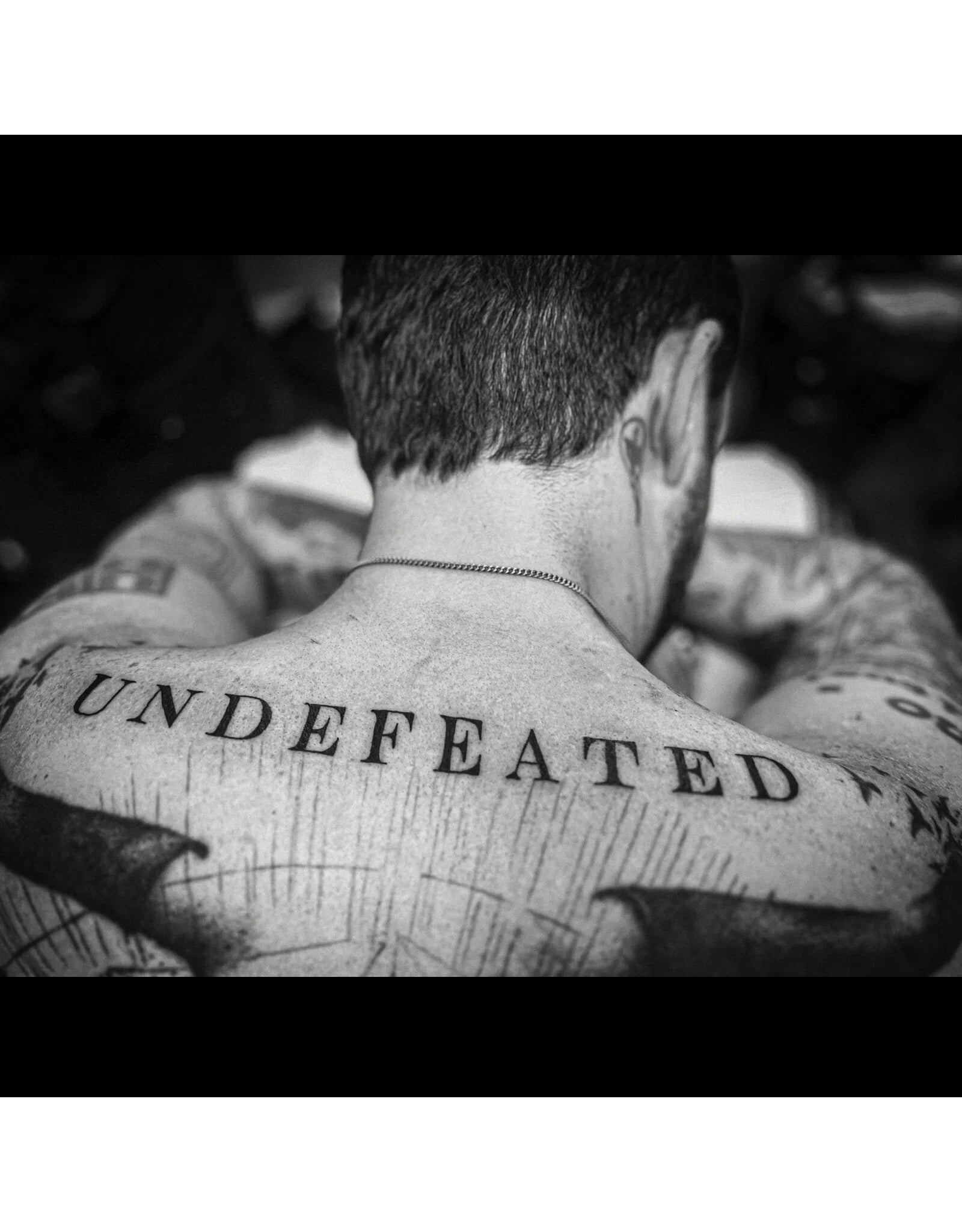 Frank Turner - Undefeated (New Vinyl)
