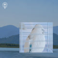 Franki Wals - World Aperture (New CD)