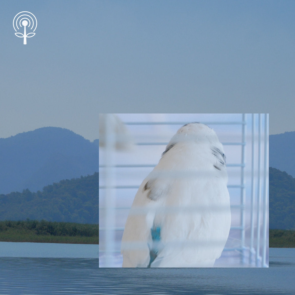 Franki Wals - World Aperture (New CD)