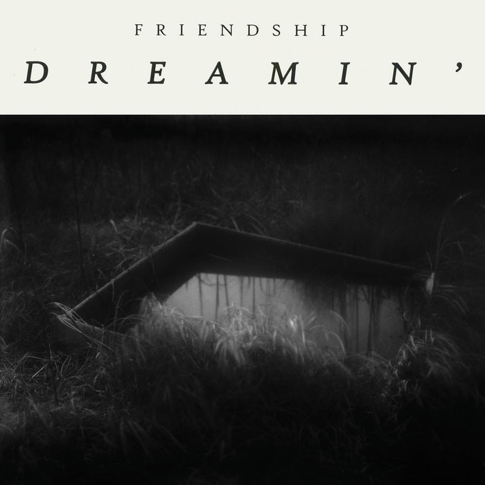 Friendship - Dreamin' (New Vinyl)