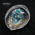 Future Palace - Resurgence (Pearlescent Lagoon Vinyl) (New Vinyl)