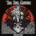 The 2nd Coming - Evaluations (New Vinyl)