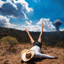 Geese - 3D Country (New CD)