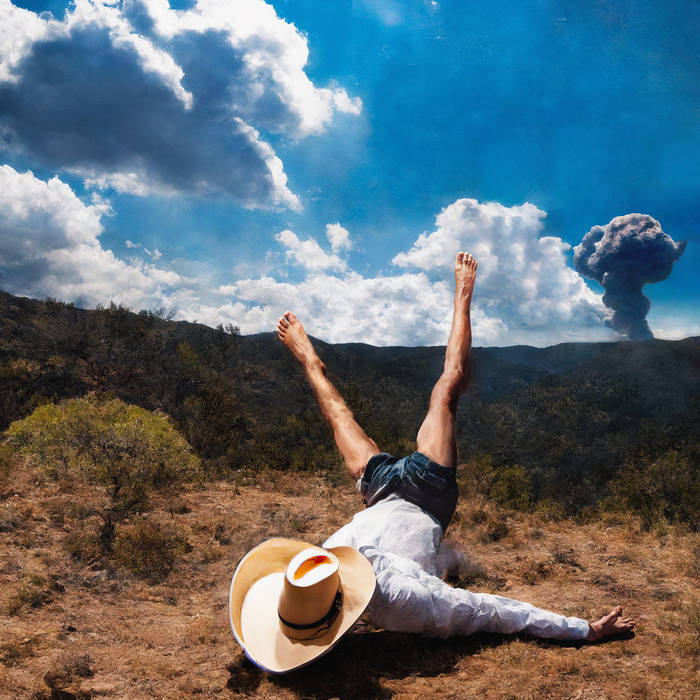 Geese - 3D Country (New Vinyl)