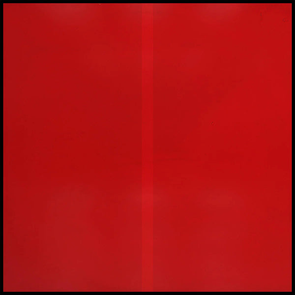 Genesis Owusu - Struggler (New Vinyl)