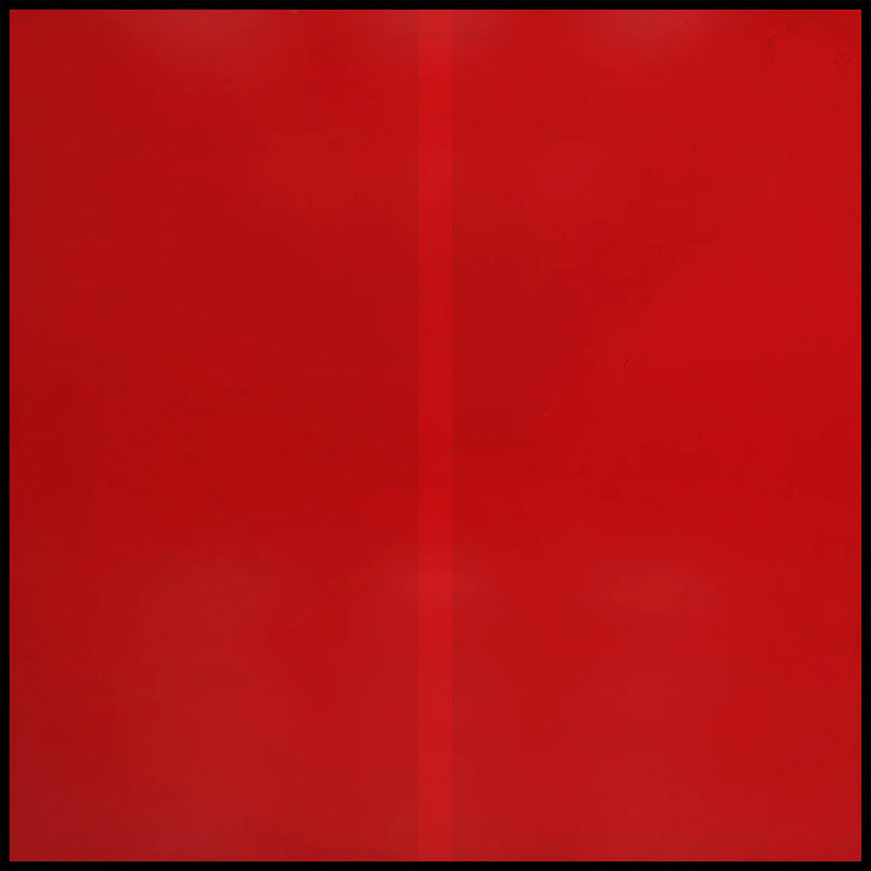 Genesis Owusu - Struggler (New Vinyl)