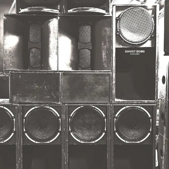 Ghost Dubs - Damaged (New Vinyl)