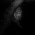 Gigi Masin - Implodendo In Una Accecante Oscurita' Pt. 2 (New Vinyl)