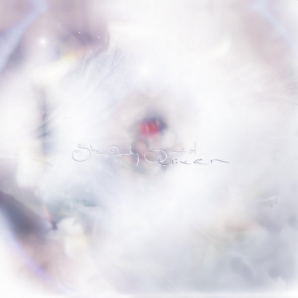 Glixen - She Only Said (Fruit Punch Coloured Vinyl) (New Vinyl)