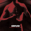 Godflesh - A World Lit Only By Fire (New Vinyl)