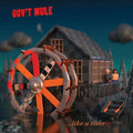 Gov't Mule - Peace Like A River (2LP/180g) (New Vinyl)