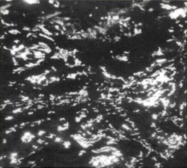 Grouper - A I A (New CD)