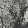 Grouper - Way Their Crept (New Vinyl)