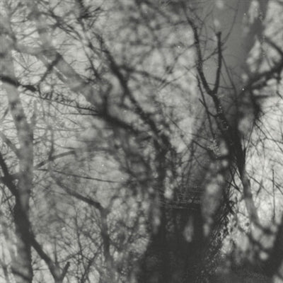 Grouper - Way Their Crept (New Vinyl)