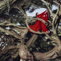 Hannah Frances - Nested In Tangles (Ruby Red Vinyl) (New Vinyl)