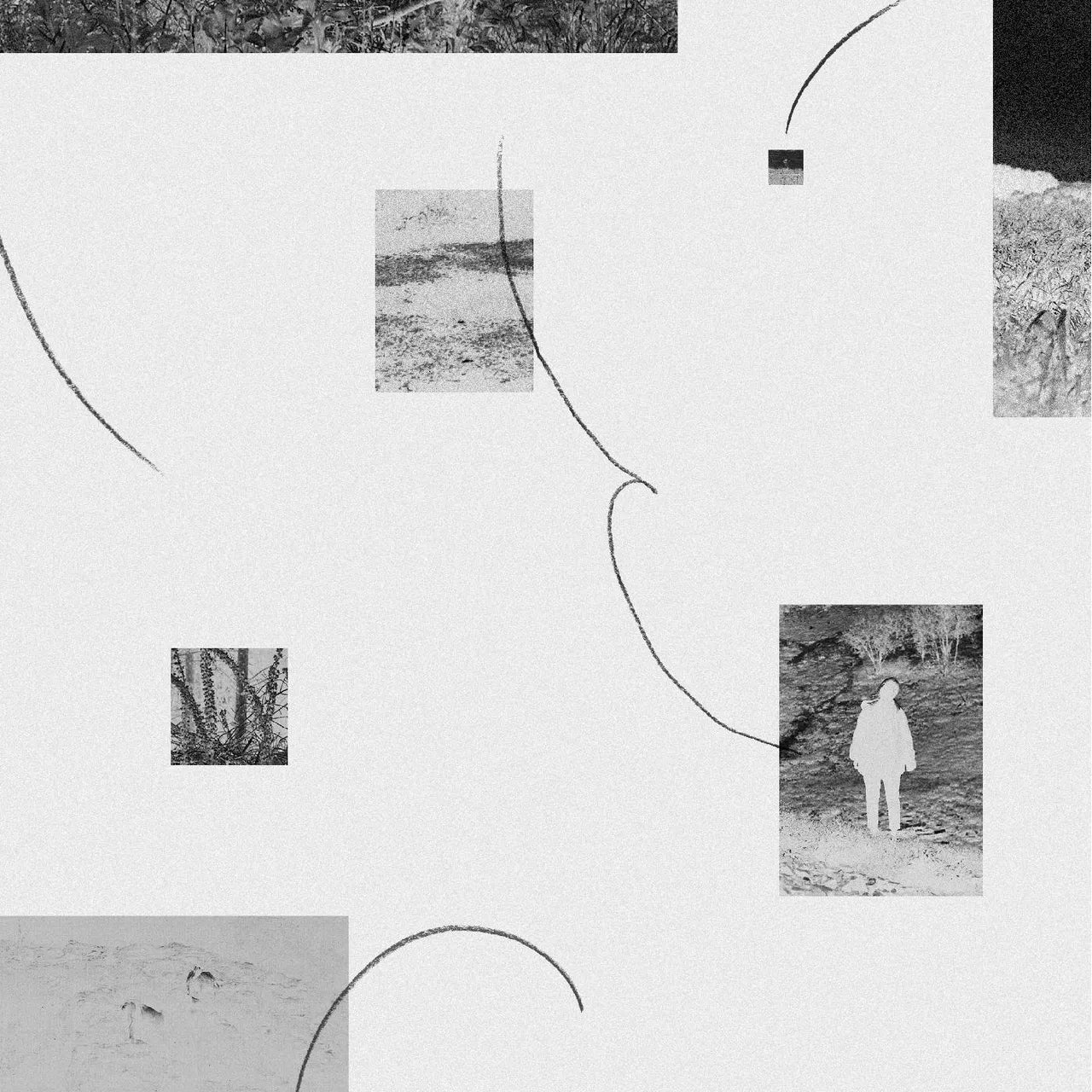 Hinako Omori - A Journey... (New Vinyl)