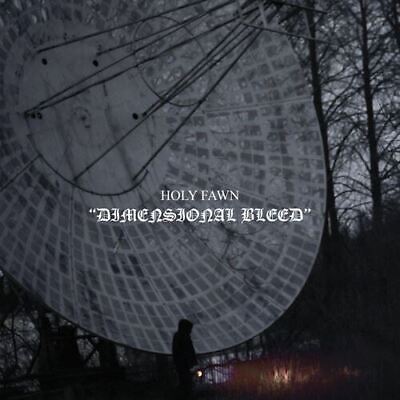 Holy Fawn - Dimensional Bleed (New Vinyl)
