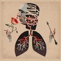 Hot Water Music - Vows (New Vinyl)