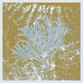 Huerco S. - For Those Of You Who Have Never (New Vinyl)