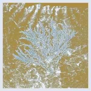 Huerco S. - For Those Of You Who Have Never (New Vinyl)