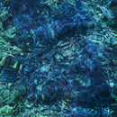 Ichiko Aoba - Luminescent Creatures (New CD)