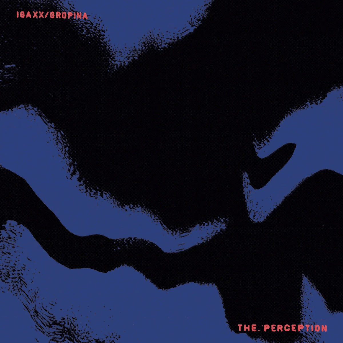 Igaxx / Gropina - The Perception (12") (New Vinyl)