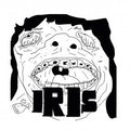 Iris - Surrender 7" (New Vinyl)