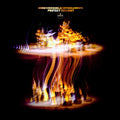 Irreversible Entanglements - Protect Your Light (New Vinyl)